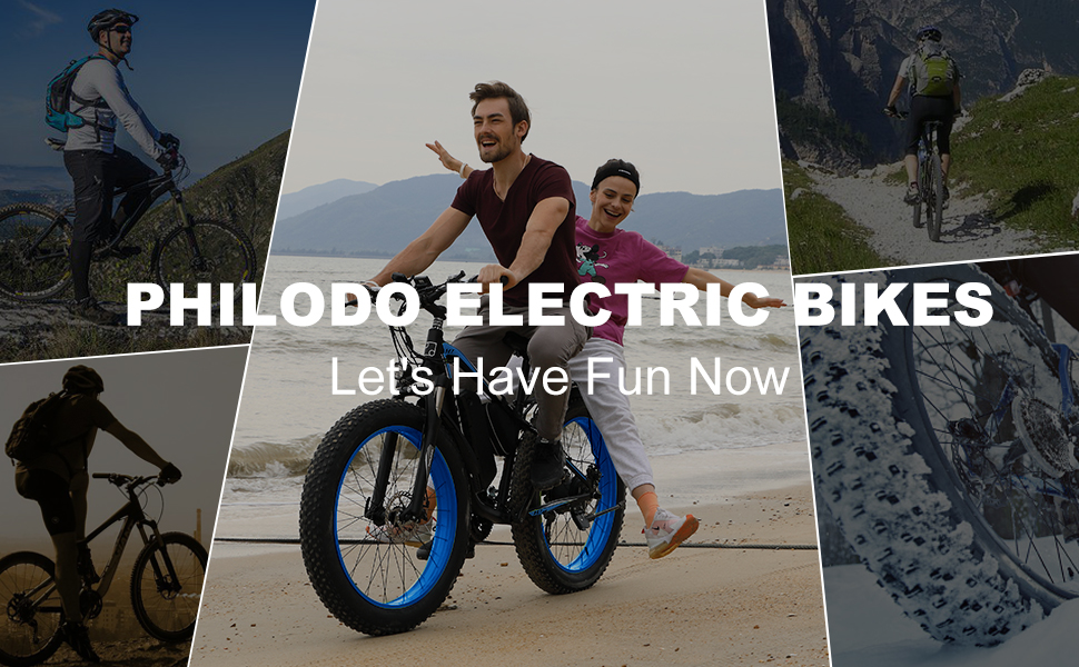 fat tire ebikes electric bikes for adult e-bike electric bicycle